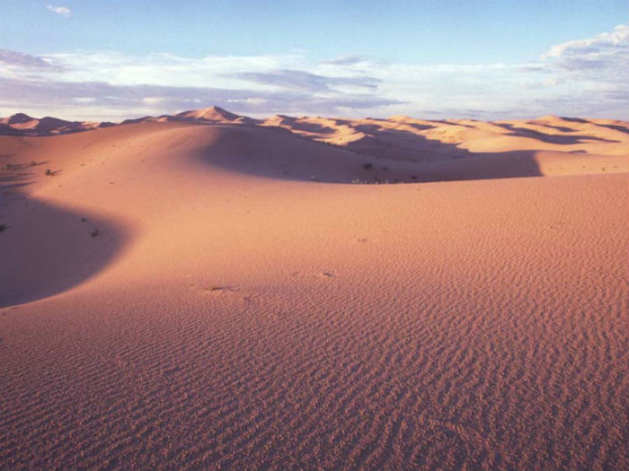 Silencio del desierto