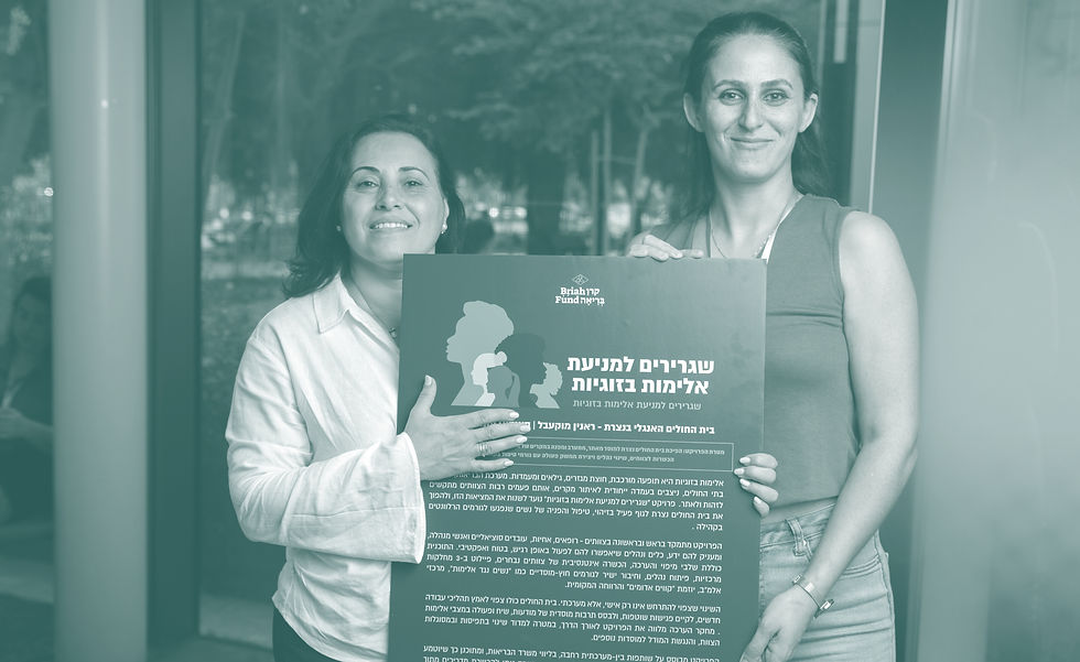 Ambassadors for the Prevention of Domestic Violence