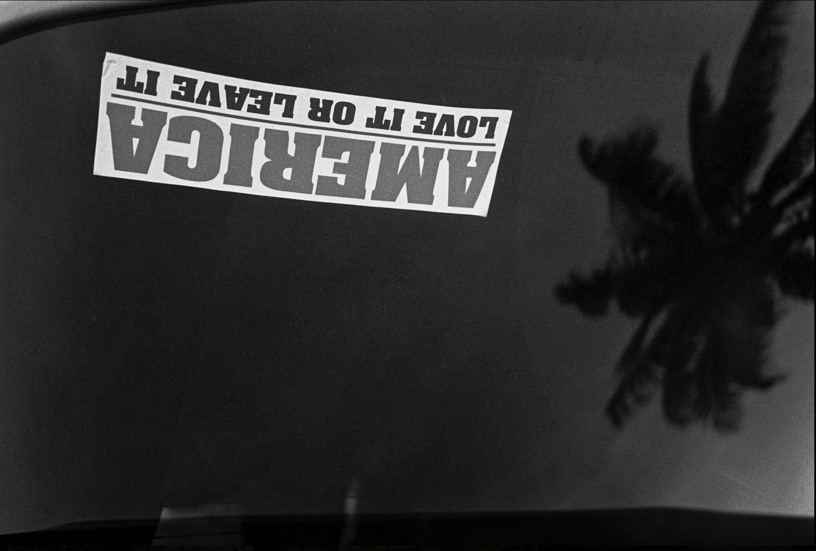 Yul Vazquez | Untitled (Miami Series) 1/3