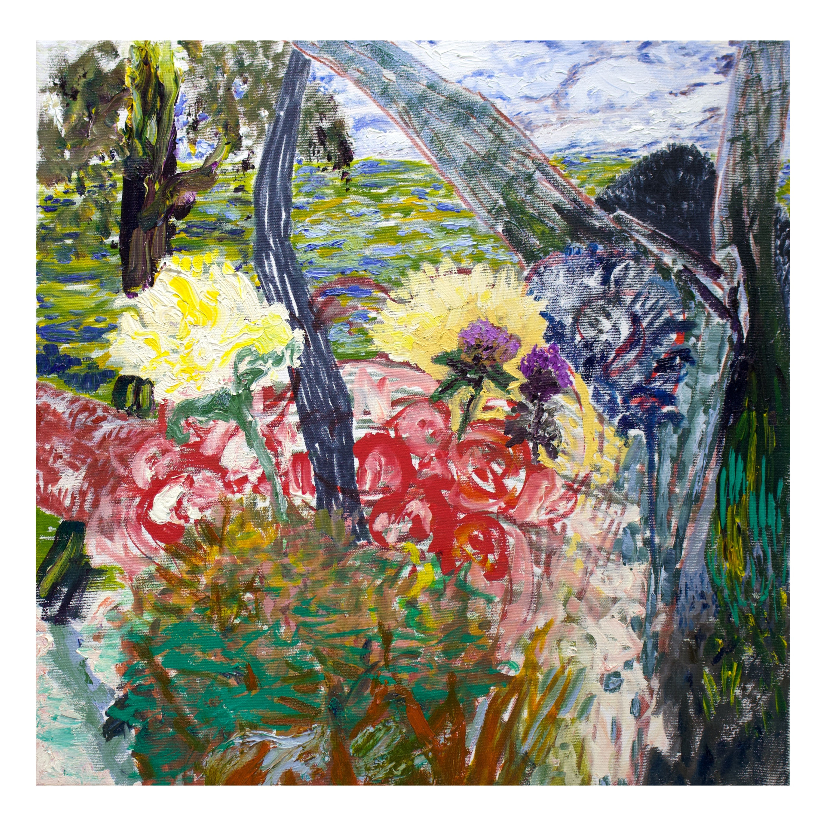 Cecilia Whittaker Doe |