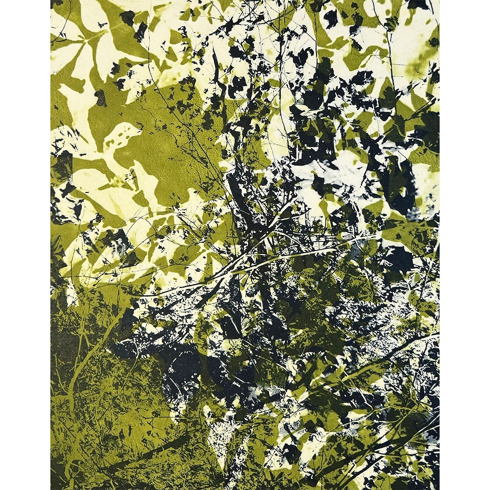 Green Bramble