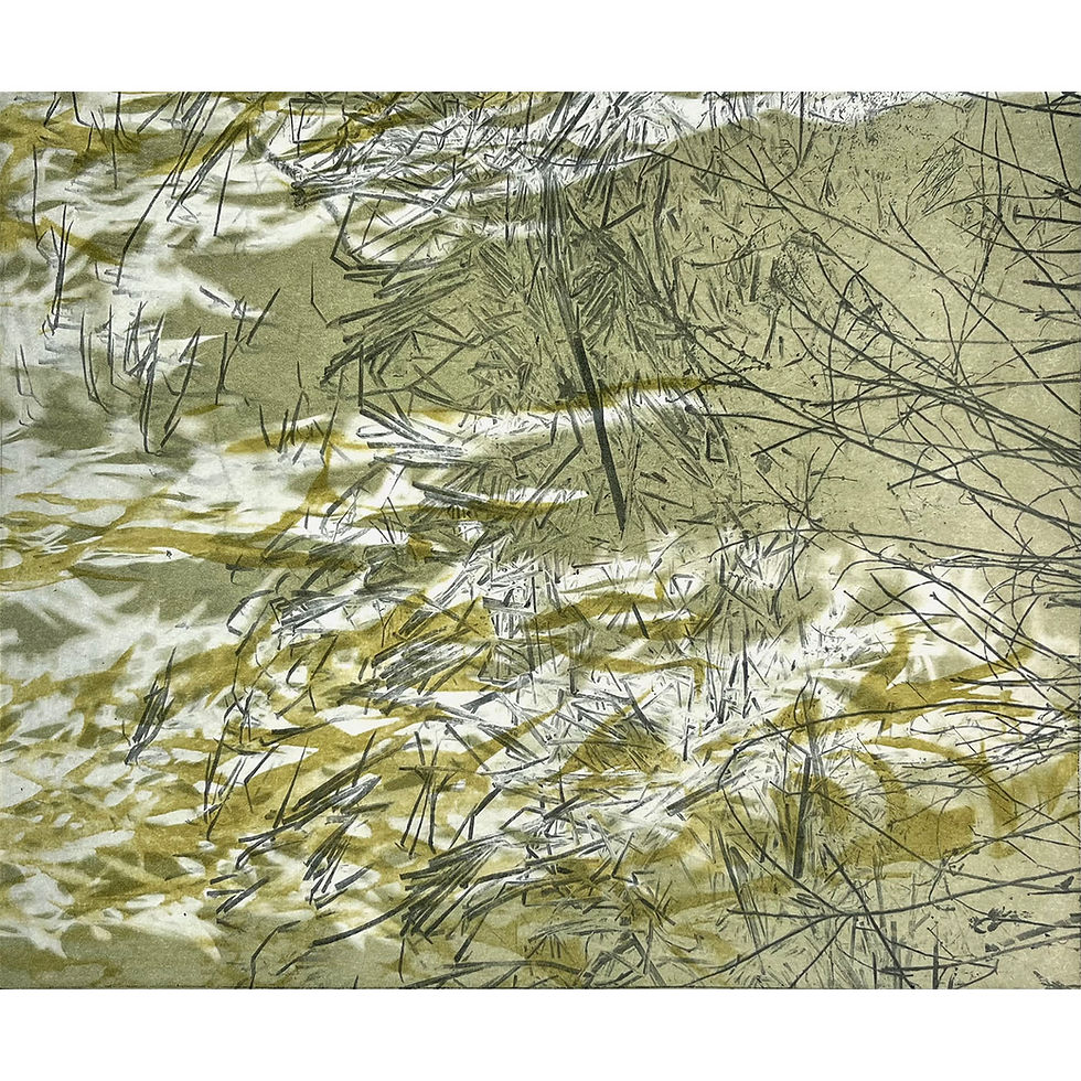 Currents VE4