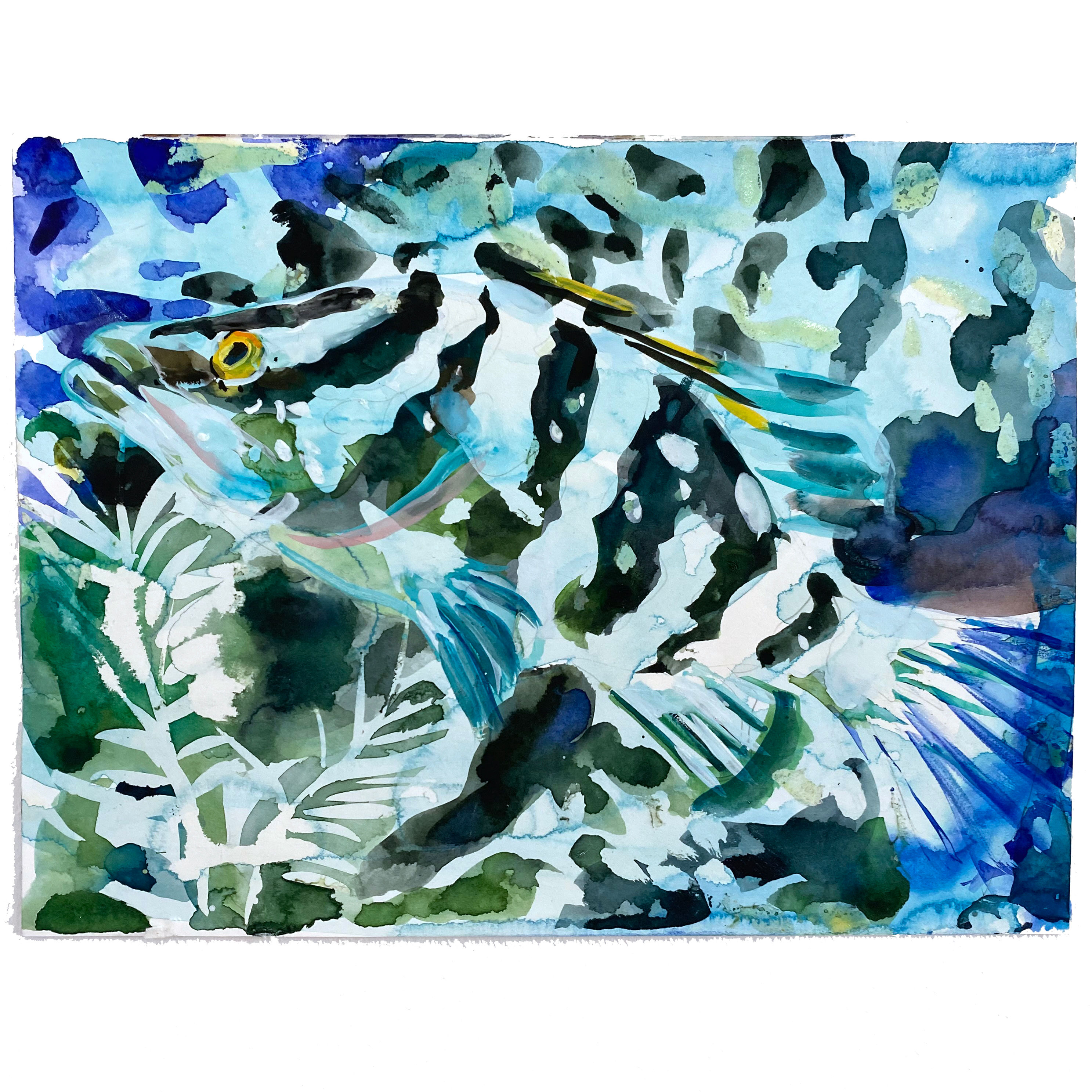 WENDY KLEMPERER | 9 x 11 Watercolor (Tropical Fish)