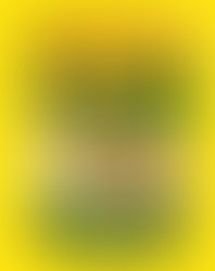 "VERÃO DA LATA" Saiba como 22 toneladas de maconha vieram parar nas praias do Brasil...