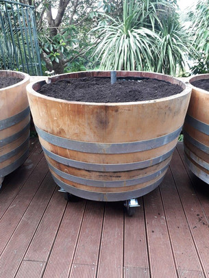 Macrocarpa Self Watering Grow Bag Gardens Produce Swap A Bag Delivery