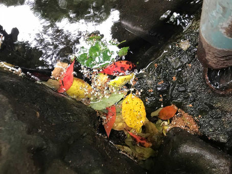明鏡止水の如く
