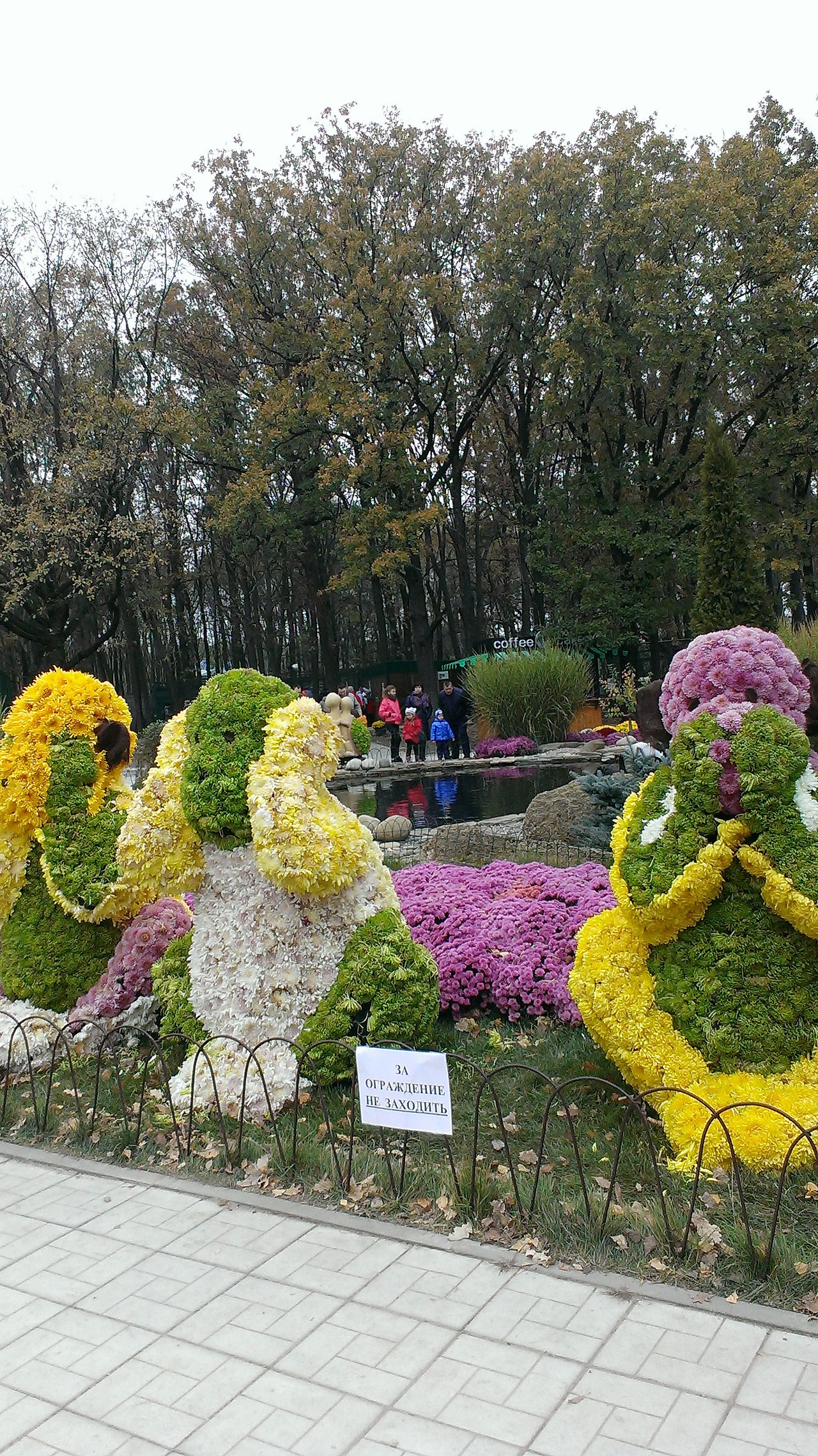 IMAG0659