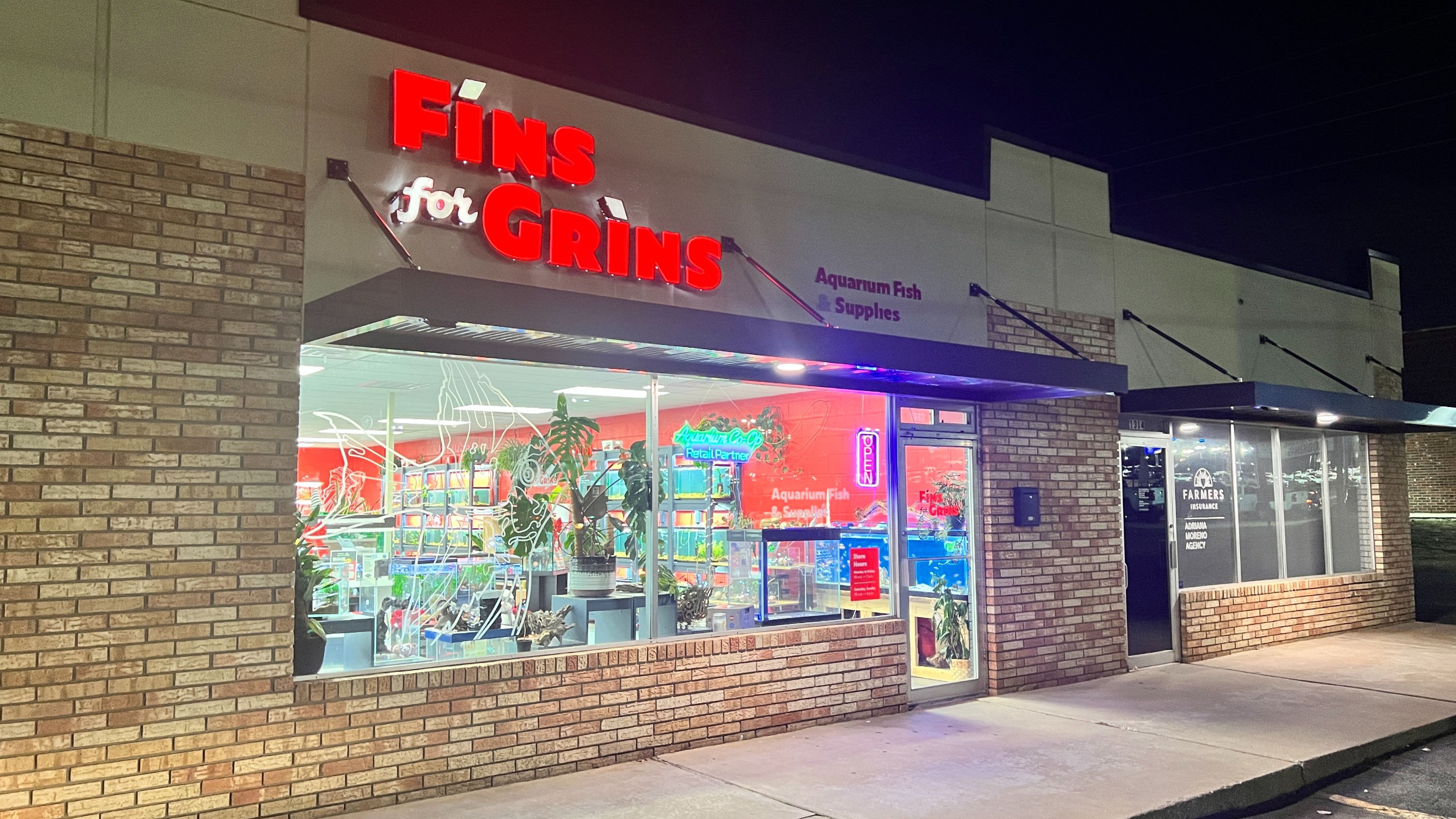 Discover the Best Freshwater Fish and Essential Aquarium Supplies in Tulsa