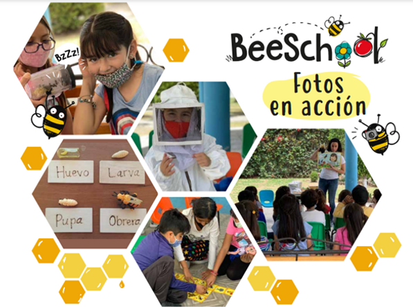 Beeschool escuelas fotos Imagen2.png