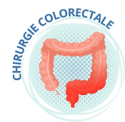 Site Liège bouton colo vf.png