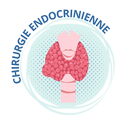 Site Liège bouton endo vf.png