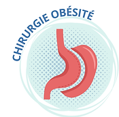 Site Liège bouton obésité vf.png