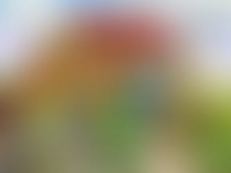 Tradução The Legend Of Zelda: Tri Force Heroes, para 3DS e Citra.