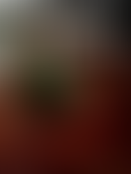 BrokenLore DONT WATCH v20250517-P2P