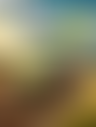 Farming Simulator 25 v20251009-P2P