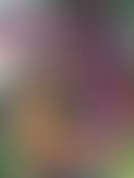 Sun Haven v2.5.1E-TENOKE