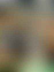 Supermarket Simulator-P2P, JOGO ATUALIZADO EM 20/06/25