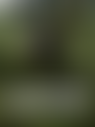 SurrounDead Build 19369779