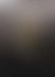 THE ORDER 1886 PORT PARA PC, PT-BR