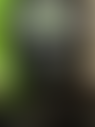  Call of Duty: Modern Warfare II (2022) (Campanha) (v9.2.12721522 + Patch v2 + MULTi2)