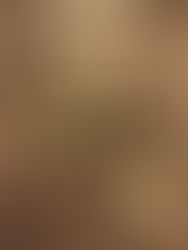 Tales of Old: Dominus – v1.0.261025