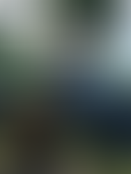 KeepUp Survival v20260106-P2P