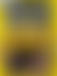 Pro Cycling Manager 25-SKIDROW