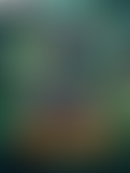 Broventure The Wild Co-op v1.4-P2P, JOGO ATUALIZADO EM 04/07/2025