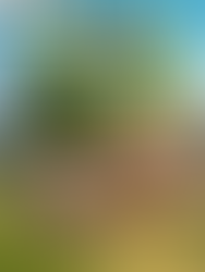 Upin and Ipin Universe-P2P