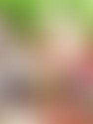 Dragon Ball FighterZ: Legendary Edition (v1.50 + 35 DLCs + MULTi13)