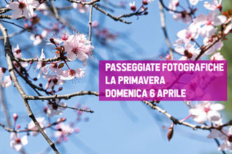 Passeggiate fotografiche: la primavera domenica 6 aprile 2025