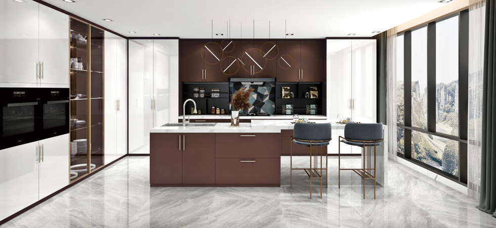 Kitchen - Dark Coffee + High Gloss White.jpg