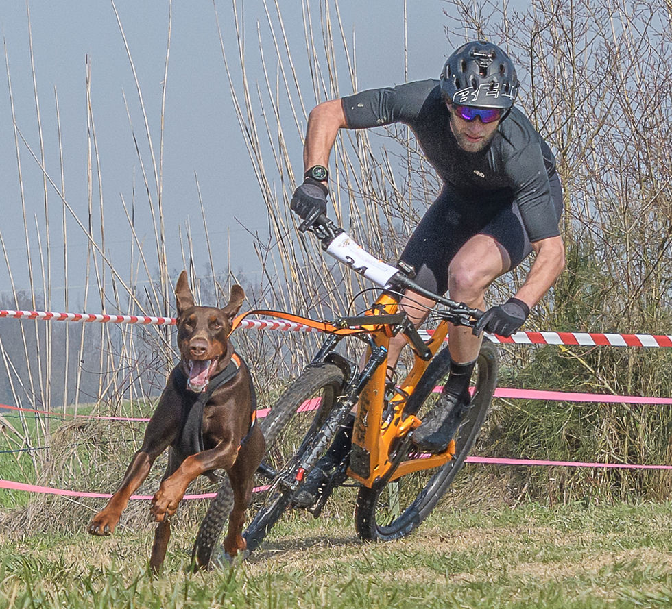Stage di Canicross e Bikejoring