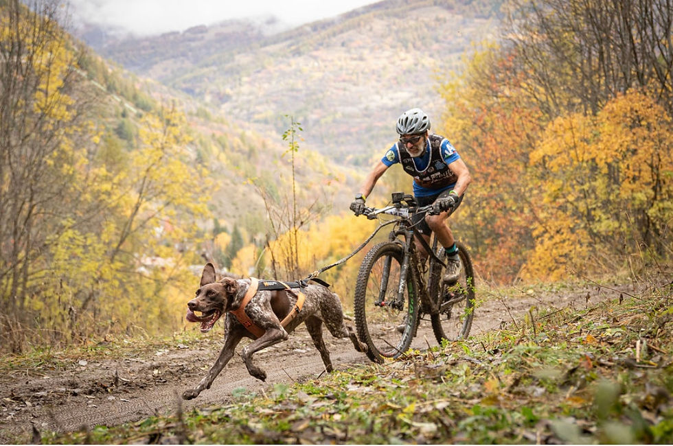 Canicross and Bikejoring Course