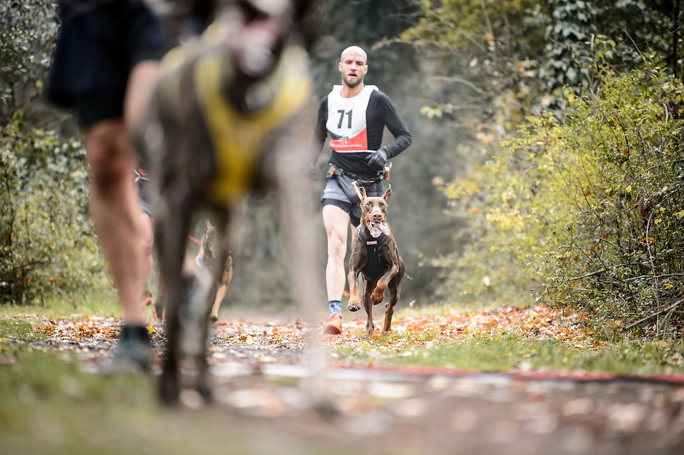 Stage di Canicross e Bikejoring