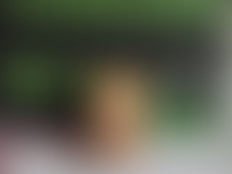 L’apocalypse selon Sandra