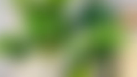 植物と人間との関係性を世界的ベストセラーにみる