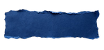 descarga (10)_edited.png