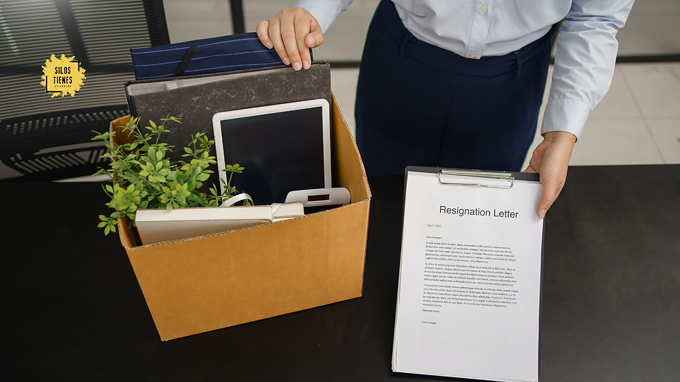Descubre los beneficios de una desvinculación laboral manejada con elegancia y aprende estrategias para que esa desvinculación laboral positiva sea una puerta abierta a futuras oportunidades de colaboración y crecimiento profesional