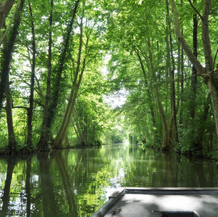 la-mariniere-en-voyage-marais-poitevin-barque-3.jpg.webp