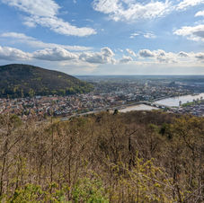D8 Heidelberg