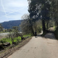 D9 to Neckarzimmen (near Neckar)