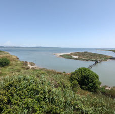 606 Divjaka Karavasta NP