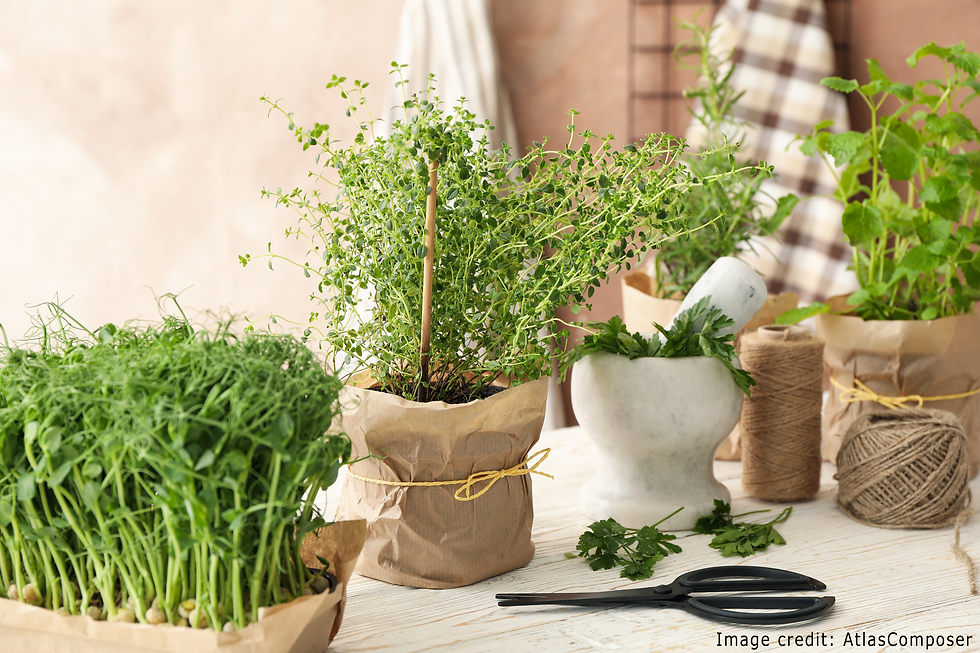 They occupy valuable kitchen space, hygiene concerns and making them difficult to clean.