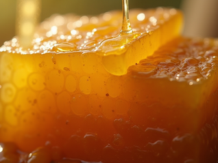 The Sweet History of Honey as Currency and Gold in Ancient Civilizations