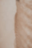 sacha-t-sas-Ewh8Lx4xMY8-unsplash.jpeg