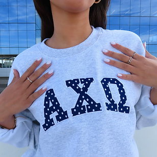 ali-ariel-polka-dot-embroidered-crewneck-1144421893.png