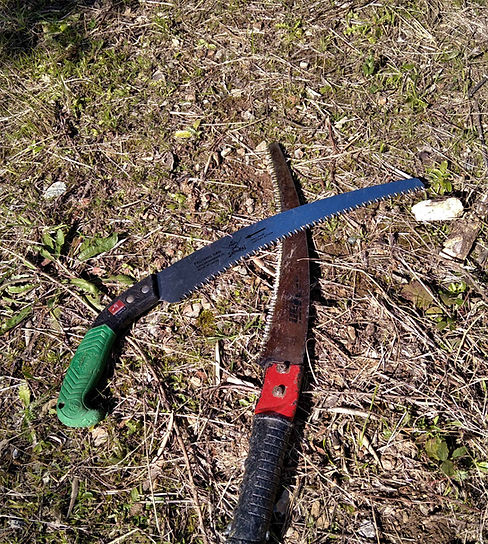 pruning1.jpg