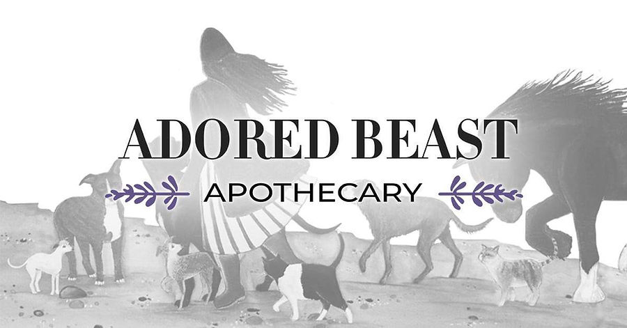 AB logo.jpeg
