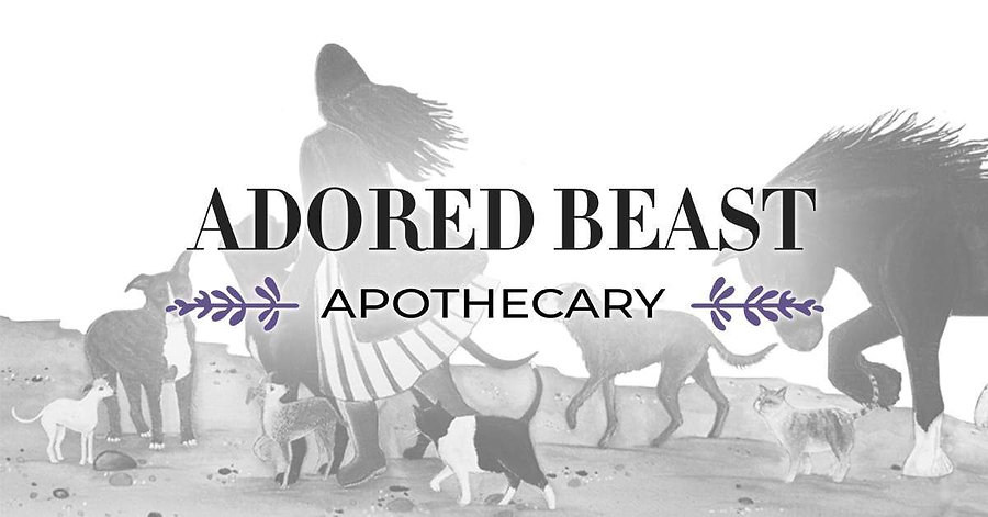 AB logo.jpeg